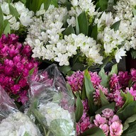 ตลาดต้นลำไย