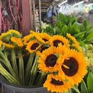 ตลาดต้นลำไย