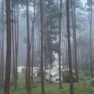 สวนป่าดอยบ่อหลวง