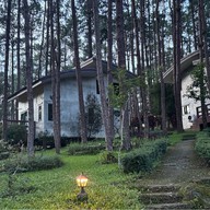 สวนป่าดอยบ่อหลวง