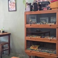 ชาม ก๋วยเตี๋ยวขาหมูเมืองทอง เมืองทองธานี