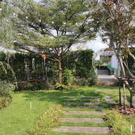 Baan Pattra