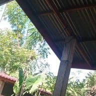 Starbucks Rasa Two