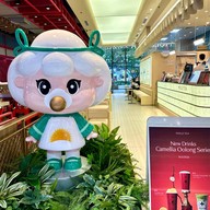 Molly Tea The Mall Lifestore Bangkapi