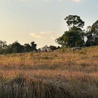 อุทยานแห่งชาติเขาใหญ่