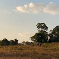 อุทยานแห่งชาติเขาใหญ่