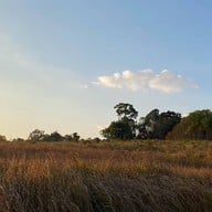 อุทยานแห่งชาติเขาใหญ่