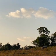อุทยานแห่งชาติเขาใหญ่
