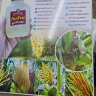 เมนู กิมง้วนลูกชิ้นปลา (MICHELIN Bib Gourmand) จอมทอง