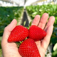 บรรยากาศ Migaki Farm