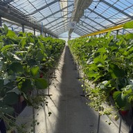 บรรยากาศ Migaki Farm