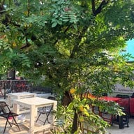 ร่มไม้บุฟเฟ่ต์