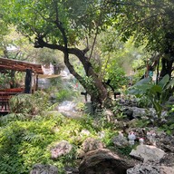 ภูหอมกล้า คาเฟ่