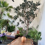 AYATANA.cafe บางแสน