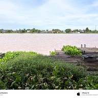 Sunset Coffee Roaster สาขาริมแม่น้ำเจ้าพระยา จ.ชัยนาท