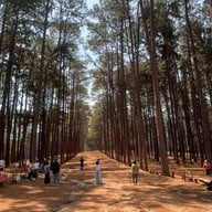 สวนสนบ่อแก้ว