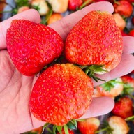 ผลไม้พร้อมทาน อาหารจานด่วน by k.chu เอแบคบางเสาธง บางนาการ์เด้น ซ.7