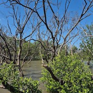 บรรยากาศ สถานตากอากาศบางปู