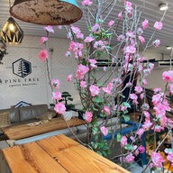 Pine Tree Coffee Roasters