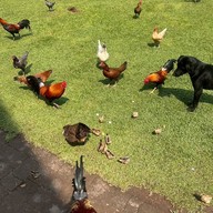 วัดน้ำฮู