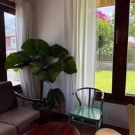 Settle - เซทเทิล ปัตตานี Settle - เซทเทิล ปัตตานี