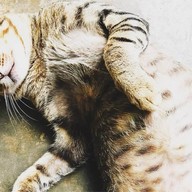 Wonder Fruit Health & Juice Bar