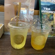 THREE TEA POTS