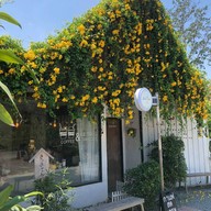 Leaf & Light Cafe  (ลิฟ & ไลท์ คาเฟ่) ข้างร้านข้าวซอยคุณหญิง)