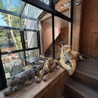 บรรยากาศ The Birder's Lodge Cafe (BL Cafe & Grill)
