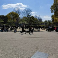 Osaka Castle