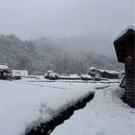 shirakawa-go
