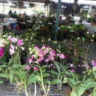 บรรยากาศ ตลาดน้ำบางน้ำผึ้ง