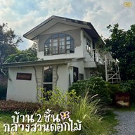 Jungfood
