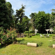Jungfood