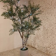 Nooze Nooze ก๋วยเตี๋ยวต้มยำ -