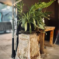 ร้านกาแฟ BOOK BEACH หทัยราษฎร์ 39 กาแฟสด ชาปักษ์ใต้รสเข้มข้น ร้านกาแฟหน้าเคซี2