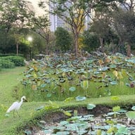 สวนวชิรเบญจทัศ (สวนรถไฟ)