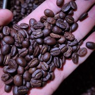 Ourlog.bkk - Coffee & Sourdough