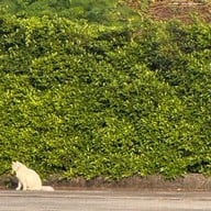 บรรยากาศ Day & Night of Suratthani Suratthani