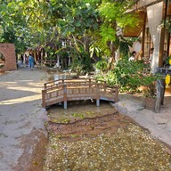 บรรยากาศ บ้านนานาชาติ Coffee &english Camp