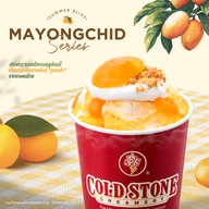Cold Stone Creamery Ice cream เซ็นทรัลพลาซา เวสต์เกต