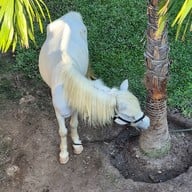 ป้าบุญคาเฟ่7 บางแสน