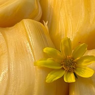 ผลไม้สด ปอก พร้อมทาน บ้านธาม