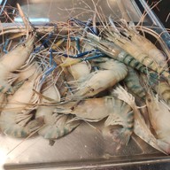 เมนูของร้าน กุ้งอบวุ้นเส้นตลาดกลางลาดสวาย