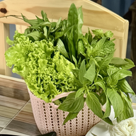 เมนู MJ แหนมเนือง สาขา3รัชดา MJ แหนมเนือง สาขา3รัชดา