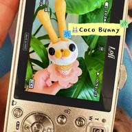 Coco corner coconut