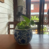 ญาจินดม