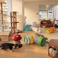 บรรยากาศ APH Cafe - สุขุมวิท 21 (อโศก) สุขุมวิท 21