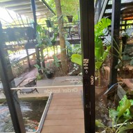 บรรยากาศ Into The Forest