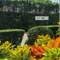 Tree Room Cafe
